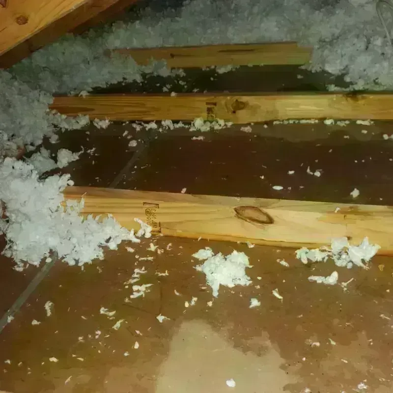 Attic Water Damage in Farmington, IL