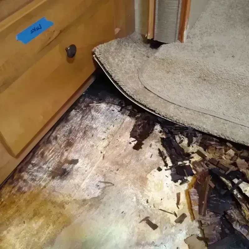 Wood Floor Water Damage in Farmington, IL